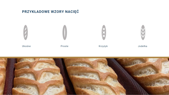 Zrzut ekranu 2022-05-11 150809.png